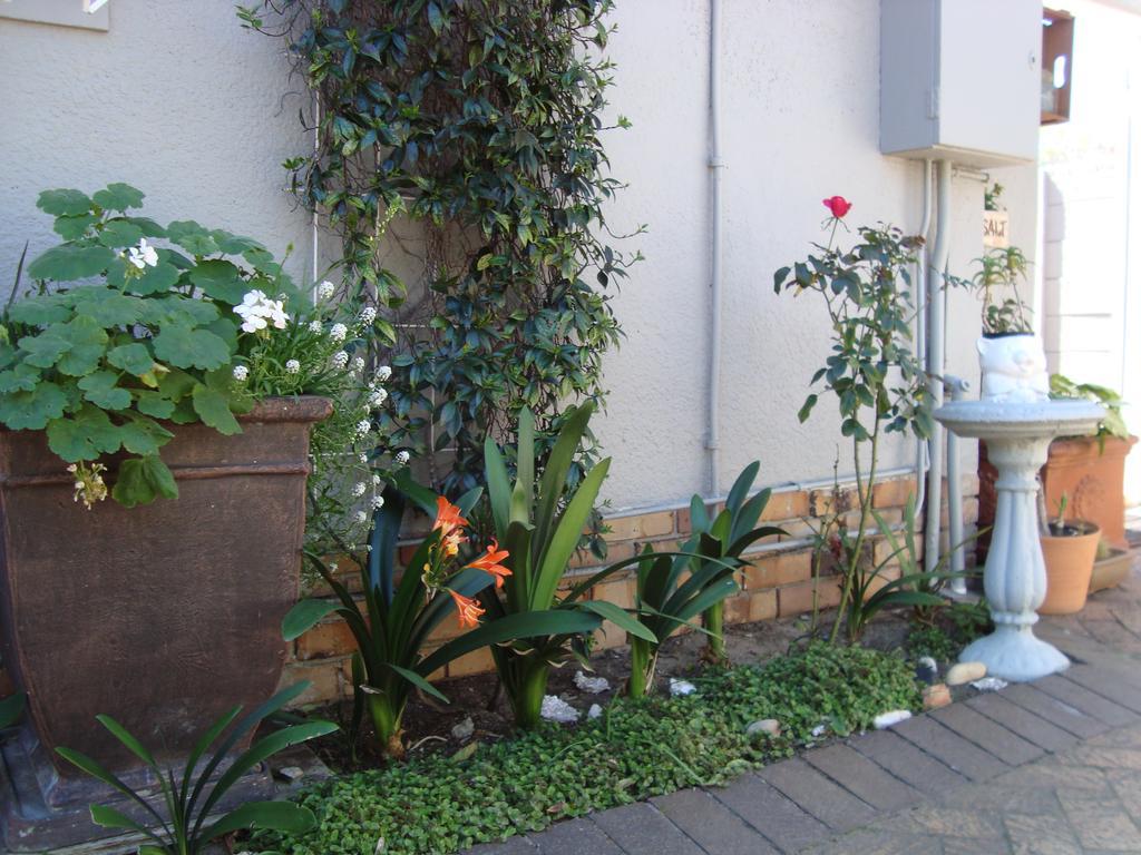Brookdale House Hotel Cidade Do Cabo Exterior foto