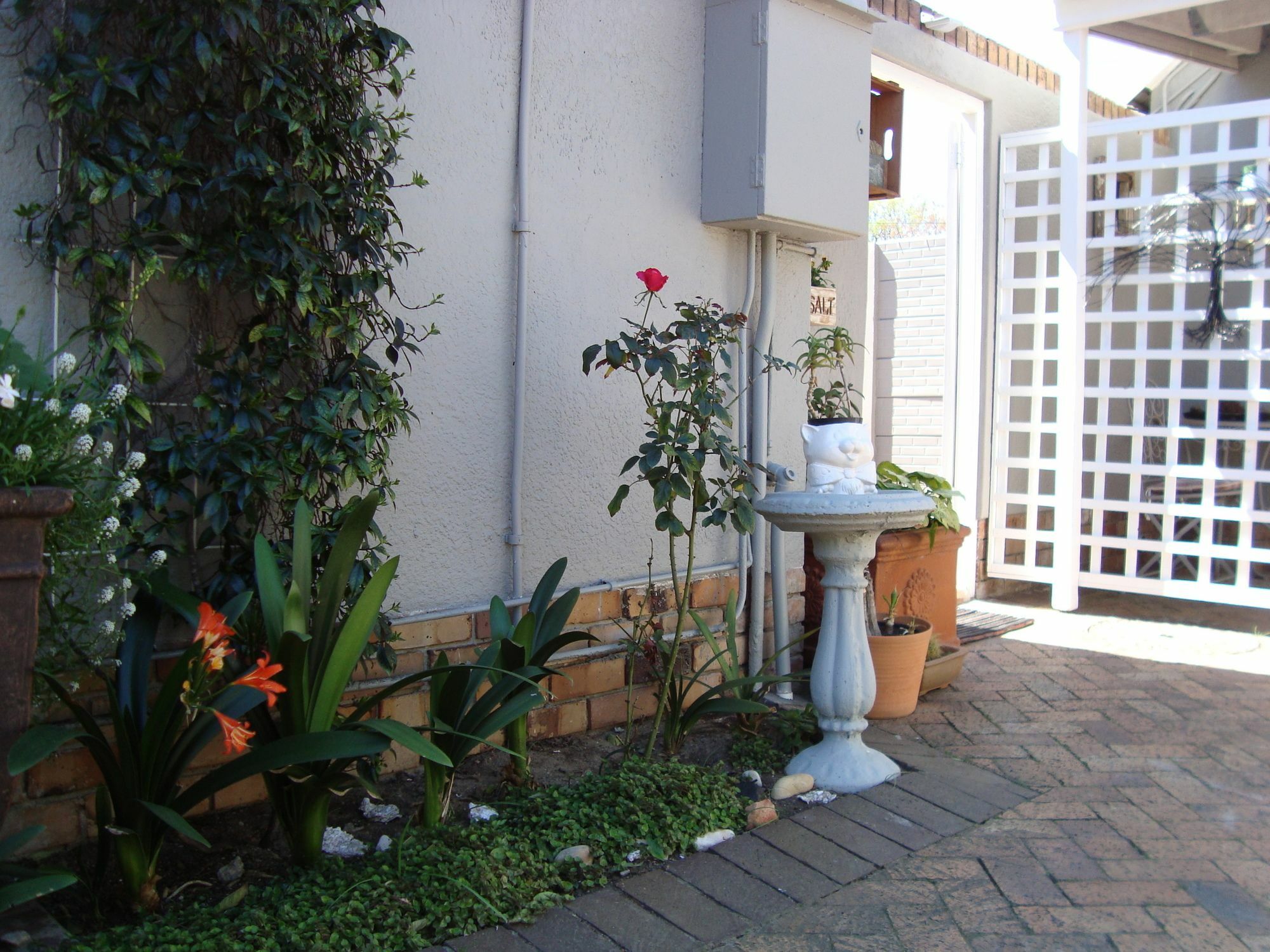 Brookdale House Hotel Cidade Do Cabo Exterior foto